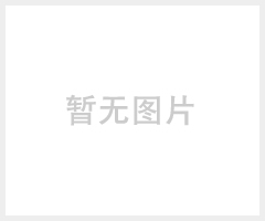 山特UPS不间断电源3C20KS（20KVA）